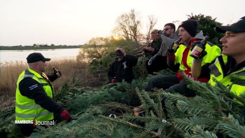 Vorbereitungen für das größte Osterfeuer Hamburgs