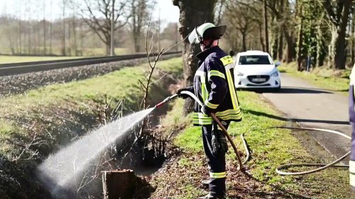 Waldbrandgefahr in Teilen Niedersachsens soll wieder sinken