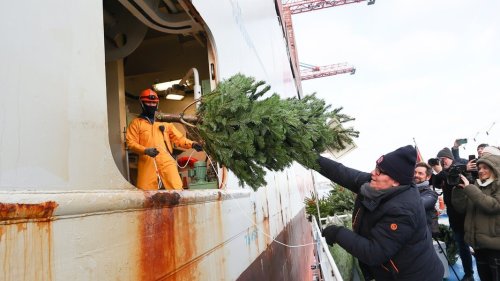Weihnachtsbäume für Seeleute auf Schiffen im Hamburger Hafen