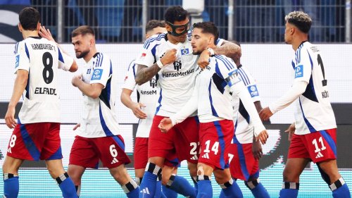 Datenanalyse nach dem Aufstieg - HSV nur teilweise bundesligareif