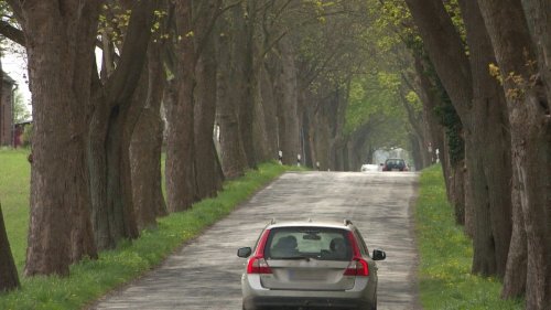 Polizei stellt uneinsichtigen Raser