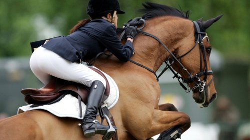 "Horses & Dreams" beginnt: Pferdeturnier in Hagen mit Olympiasiegern