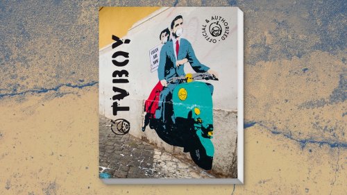 Bildband "TV BOY": Street Art-Künstler mit Rückgrat und Witz