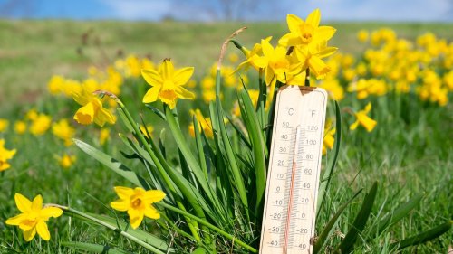 April in MV: Ungewöhnlich warm und trocken