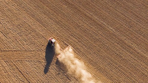Agrargespräche: Niedersächsische Landwirte verhalten optimistisch