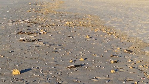 "Es ist überall": Weiße Klumpen am Strand von Juist angespült