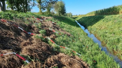 Getötete 17-Jährige in Barenburg: Weitere Zeugen melden sich