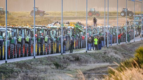 Bauernproteste: Hunderte Landwirte mit ihren Traktoren in Schwerin