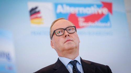 Bundespräsidenten-Kandidatur auf AfD-Ticket: CDU wirft Otte raus