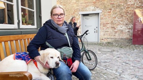 Rostock wird assistenzhundefreundliche Kommune