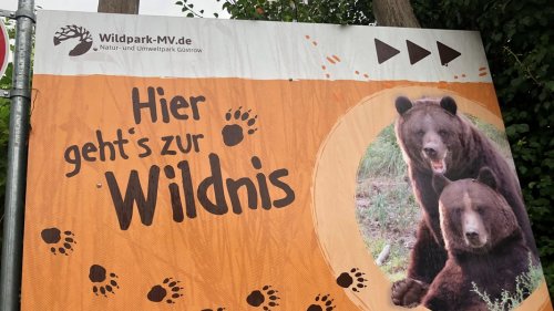 Wildpark in Güstrow erhöht die Eintrittspreise