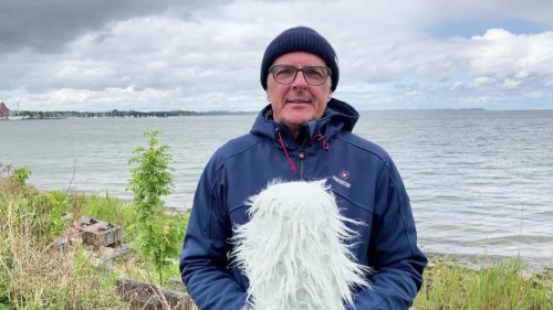 So wird das Wetter in Mecklenburg-Vorpommern am Freitag