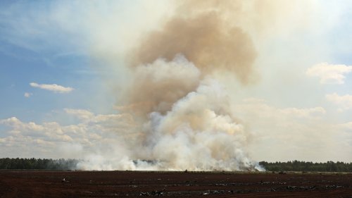 Flächenbrand im Göldenitzer Moor ausgebrochen