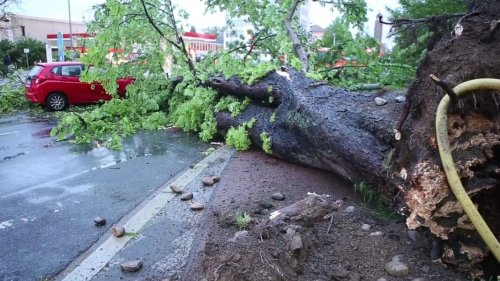Unwetter in Südniedersachsen: Bäume auf Straßen, Bahnverkehr gestört
