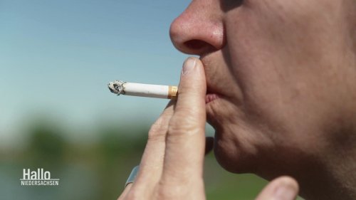Kampf gegen Zigarettenkippen im Biosphärenreservat Elbtalaue