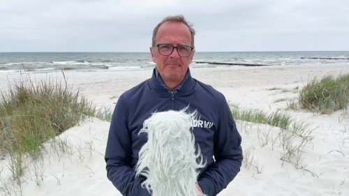 So wird das Wetter in Mecklenburg-Vorpommern am Donnerstag