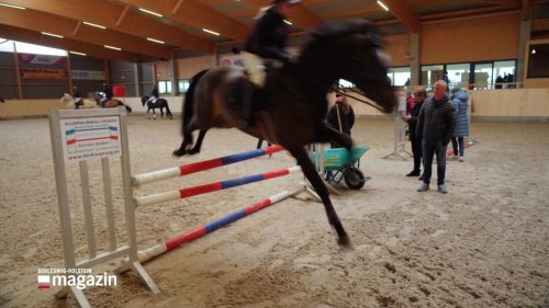 Neues Reitsportzentrum auf Fehmarn wird eröffnet