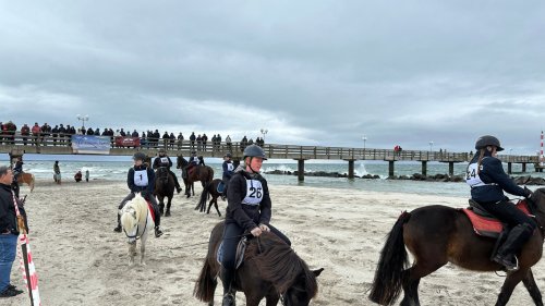 Viele Zuschauer beim Strandgalopprennen in Wustrow