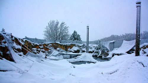 Nach Schneekatastrophe: Alle Volieren im Vogelpark Marlow repariert