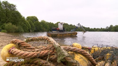 Rantzauer See: Algenentfernung mit Amphibienfahrzeug