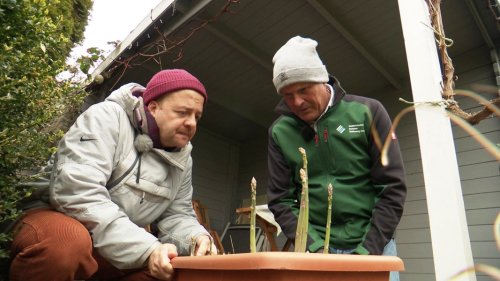 Beete aus dem Winterschlaf holen