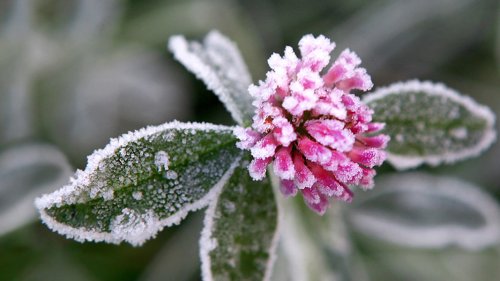 Frost und Glätte: In Niedersachsen kommt der Winter zurück