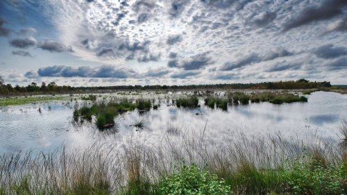 Georgsdorfer Moor als neues Naturschutzgebiet ausgewiesen