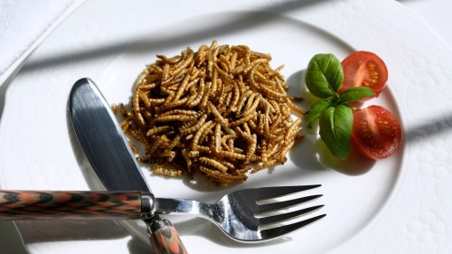 Insekten in Lebensmitteln: Wie gesund sind sie?