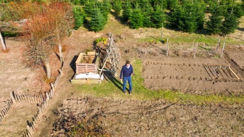 Eigenes Gewächshaus: Planungstipps für den Bau