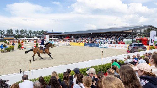 Pferdewoche in Hohen Wieschendorf startet