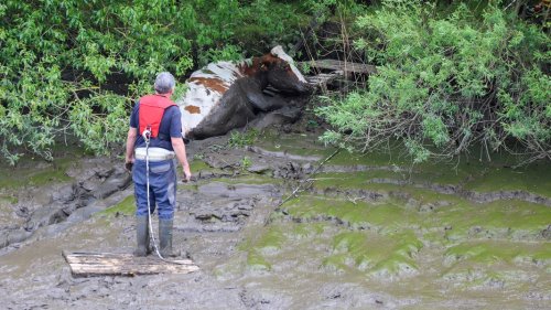Feuerwehr Itzehoe rettet Rind aus Schlick