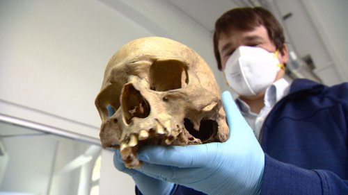 5.000 Jahre alter Mann soll Informationen zu Epidemien geben