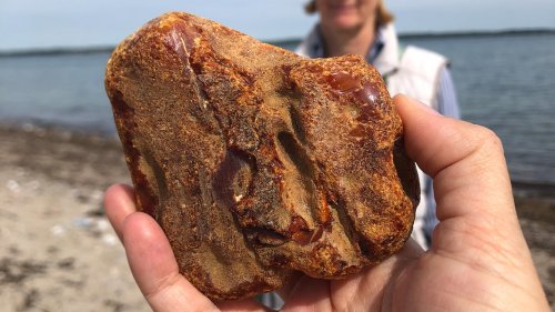 190 Gramm schwerer Bernstein am Ostsee-Strand in Lindhöft gefunden