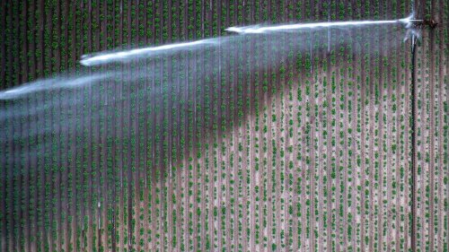 Wetterexperte Böttcher zur Dürre: "Das ist Klimawandel im Live-Modus"