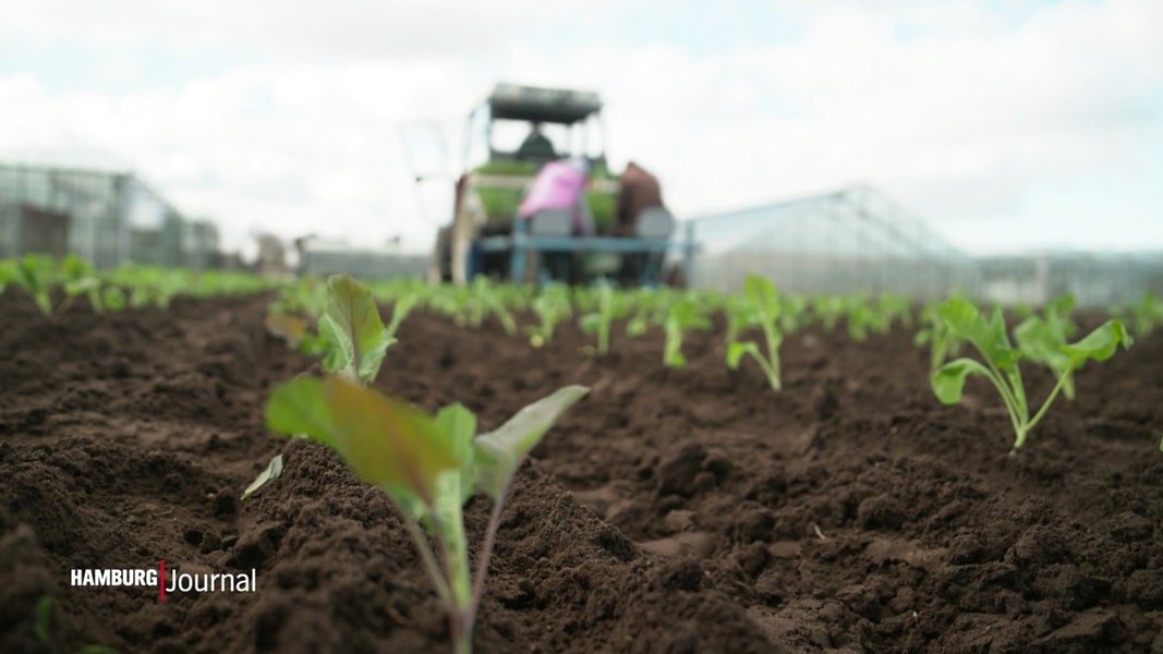Landwirte zufrieden mit trockenem Jahresbeginn