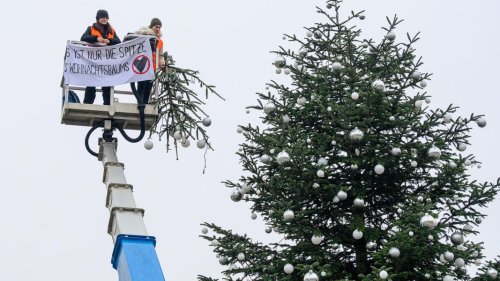 Weihnachtsbaum abgesägt: Studentin aus Wolfenbüttel verurteilt