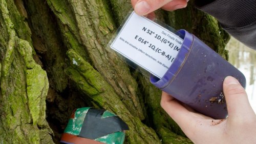 Aktion: Geocacher wollen im Nationalpark Harz Müll sammeln