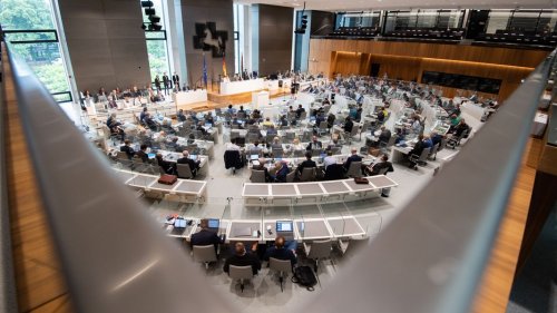 Nachtragshaushalt und Katzenkastration Themen im Landtag