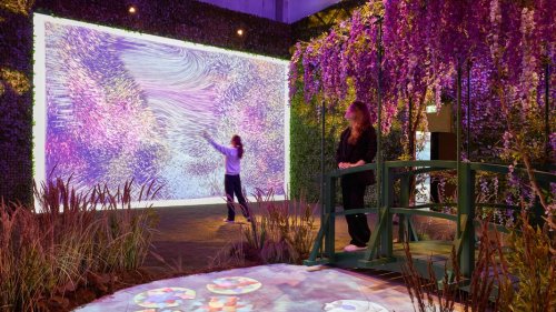 "Monets Garten" in Hamburg: Ausstellung läuft bis Ostern