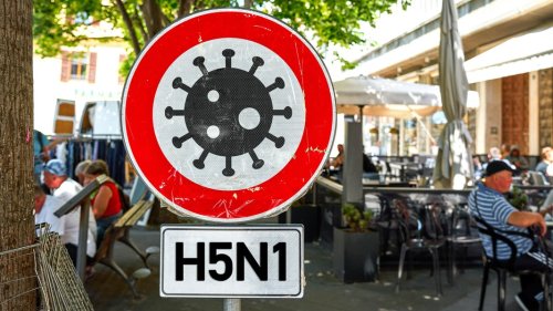 Pandemie-Risiko: Warum die Vogelgrippe der Forschung Sorgen bereitet