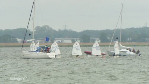 Greifswald: Kinder und Jugendliche segeln um den Boddenpokal