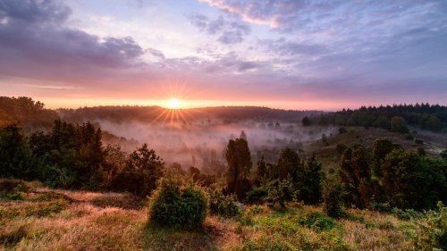 Erstmals Flug-Pauschalreisen in die Lüneburger Heide geplant