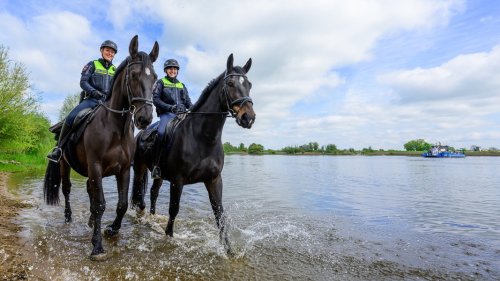 Die Bilder des Tages aus Niedersachsen