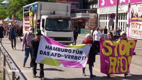 Demonstration gegen Rechtsextremismus in Hamburg