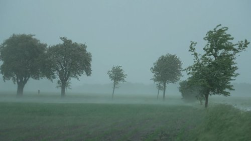 Sturm fegt über Niedersachsen