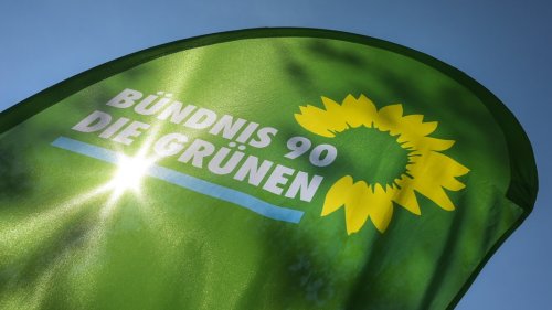 Niedersachsens Grüne stellen sich neu auf
