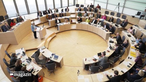Schleswig-Holstein beschließt Schutz per Fußfessel
