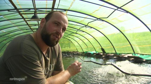 Lachsforellen nachhaltig züchten in Bützow