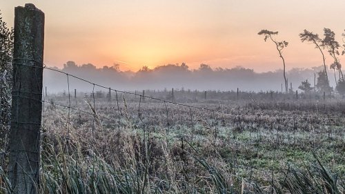 Glätte und Frost: In Niedersachsen kommt der Winter zurück