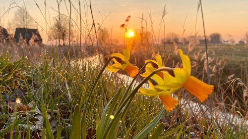 Die Bilder des Tages aus Niedersachsen